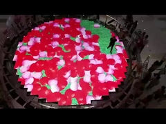 Pantalla llevada de alquiler